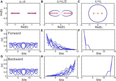 Frontiers | Direction-dependent Non-Hermitian Skin Effect In Modulated ...